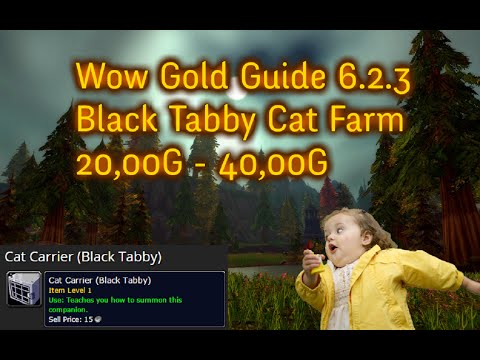 Wow Gold Guide 6.2.3 -Black Tabby Cat- 20k - 40k gold