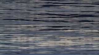 The Waterboys: Lonesome Old Wind