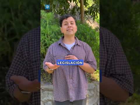 ¿Me pueden detener por una publicación contra el presidente?