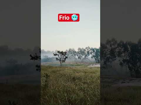 4 GRAUS NO INTERIOR DE SÃO PAULO,, TERÇA FEIRA DIA 12 DE MAIO