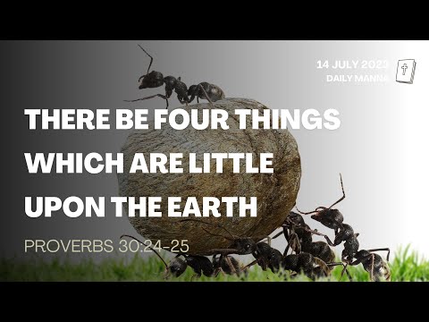 Proverbs 30:24-25 | There Be Four Things Which Are Little Upon The Earth | Daily Manna