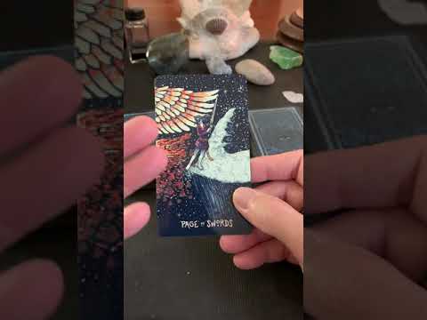 Saturday February 15, 2020