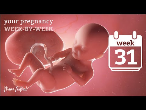 31 Weeks Pregnant - Natural Pregnancy Week-By-Week