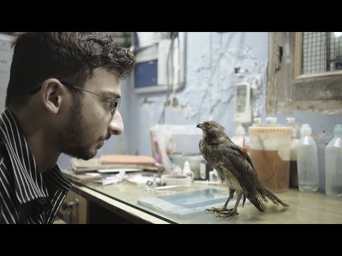 All That Breathes - Trailer 2023