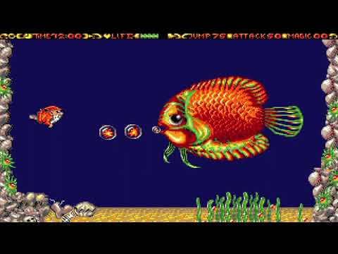 Enchanted Land picture