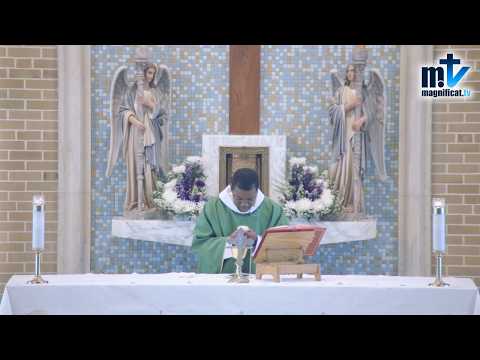 Santa Misa de Hoy | Martes, XXI Semana del Tiempo Ordinario (25-08-2026) | Pbro. Daniel Gnangba, FM