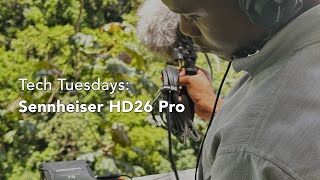 Video thumbnail for Sennheiser HD26 Pro: Hidden Pro Audio Gem? by Milton Foster