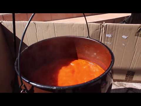 Fišijada Čepin 2019.