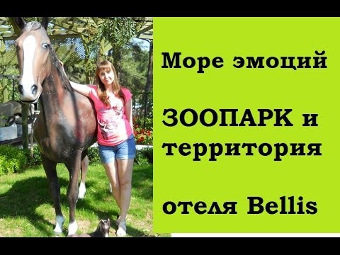 Видео - Зоопарк в отеле Беллис
