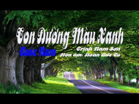 karaoke Con Đường Màu Xanh |tone Nam|🎤