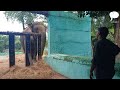 Moti Elephant Indore Zoo
