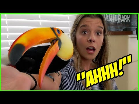 My Toucan Meets My Sister FOR THE FIRST TIME!!!
