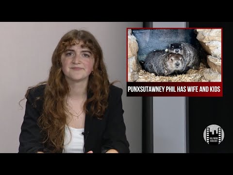 Weekend Update: Punxsutawney Phil is a Dad and Taylor Swift Drops a New Album | Hollywood Headlines
