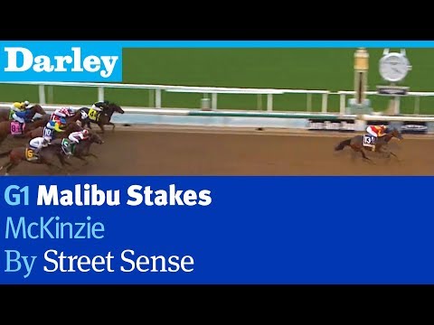McKinzie by Street Sense wins the G1 Malibu Stakes at Santa Anita
