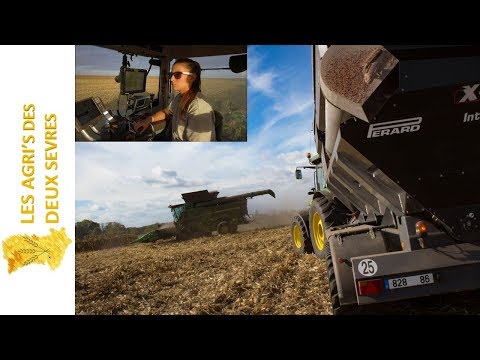 CORN HARVEST XXL | Du champ au silo | John Deere 12 rangs & Perard Black (GIRL DRIVER)