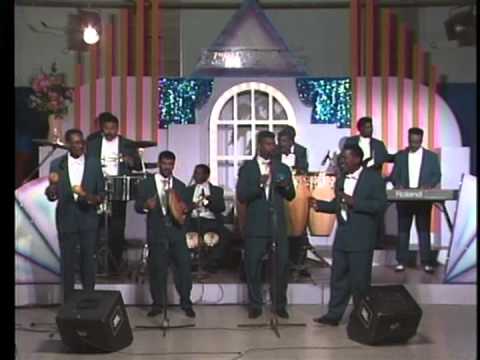 PERFECTA DUNAMI UN CHENS