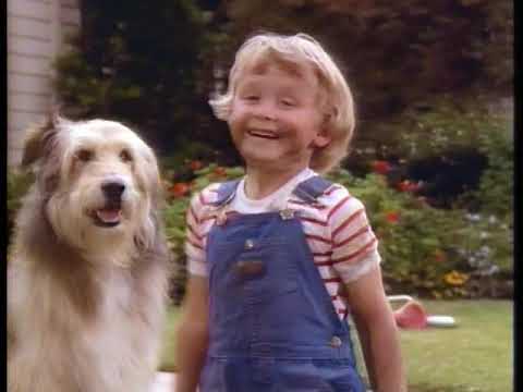 Dennis the Menace 1987