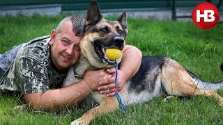 После Януковича в Межигорье остался уникальный кинологический центр