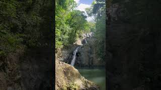 Take me Back: Tobago🇹🇹