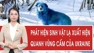 Phát hiện sinh vật lạ xuất hiện quanh “vùng cấm” của Ukraine