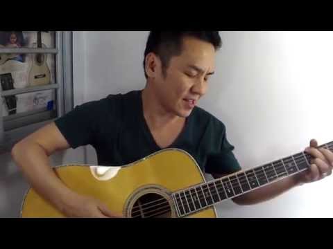 2014 MARTIN D42 guitar review in Singapore
