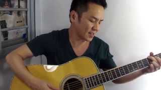2014 MARTIN D42 guitar review in Singapore