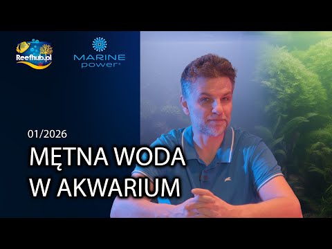 Obejrzyj cały film na YouTube: Mętna woda w akwarium słodkowodnym i morskim