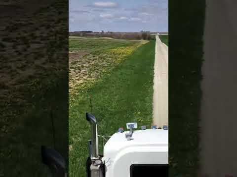 Vivendo assim no EUA🇧🇷 / Living like this in USA 🇺🇸