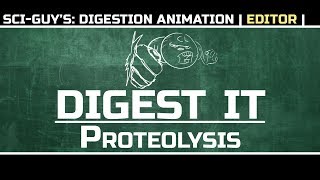 Sci-Guy's Digestion (Animation)