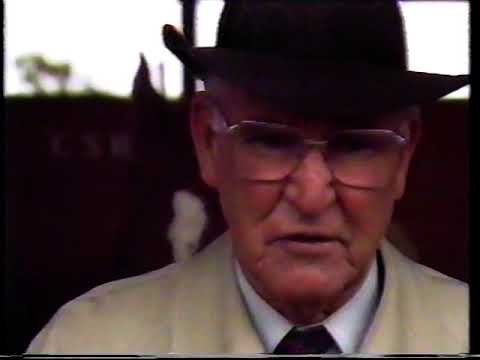 Sat 10 Nov 1990 Pt 3