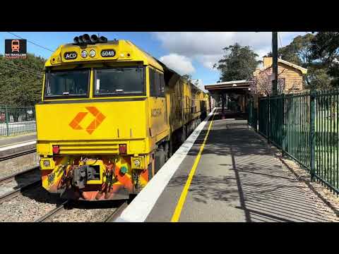 Wingello - Aurizon Intermodal Train Bound for Brisbane