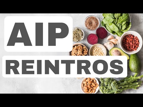 AIP Reintroductions 101 - Everything You Need To Know