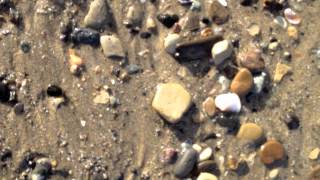 Finding Sea Glass in Redondo Beach