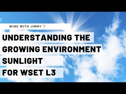 WSET Level 3 Wines - Understanding the Growing Environment: Sunlight