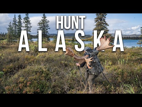 How to Hunt in Alaska as a NON-RESIDENT | Hunt Alaska Next Year!