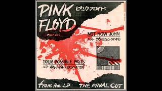 Your Possible Pasts (Pink Floyd, Demos From The Final Cut 1983)