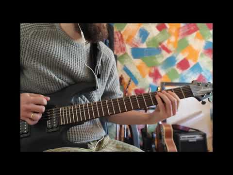 The Raven Autarchy - An Ode to Insanity (Guitar Cover)