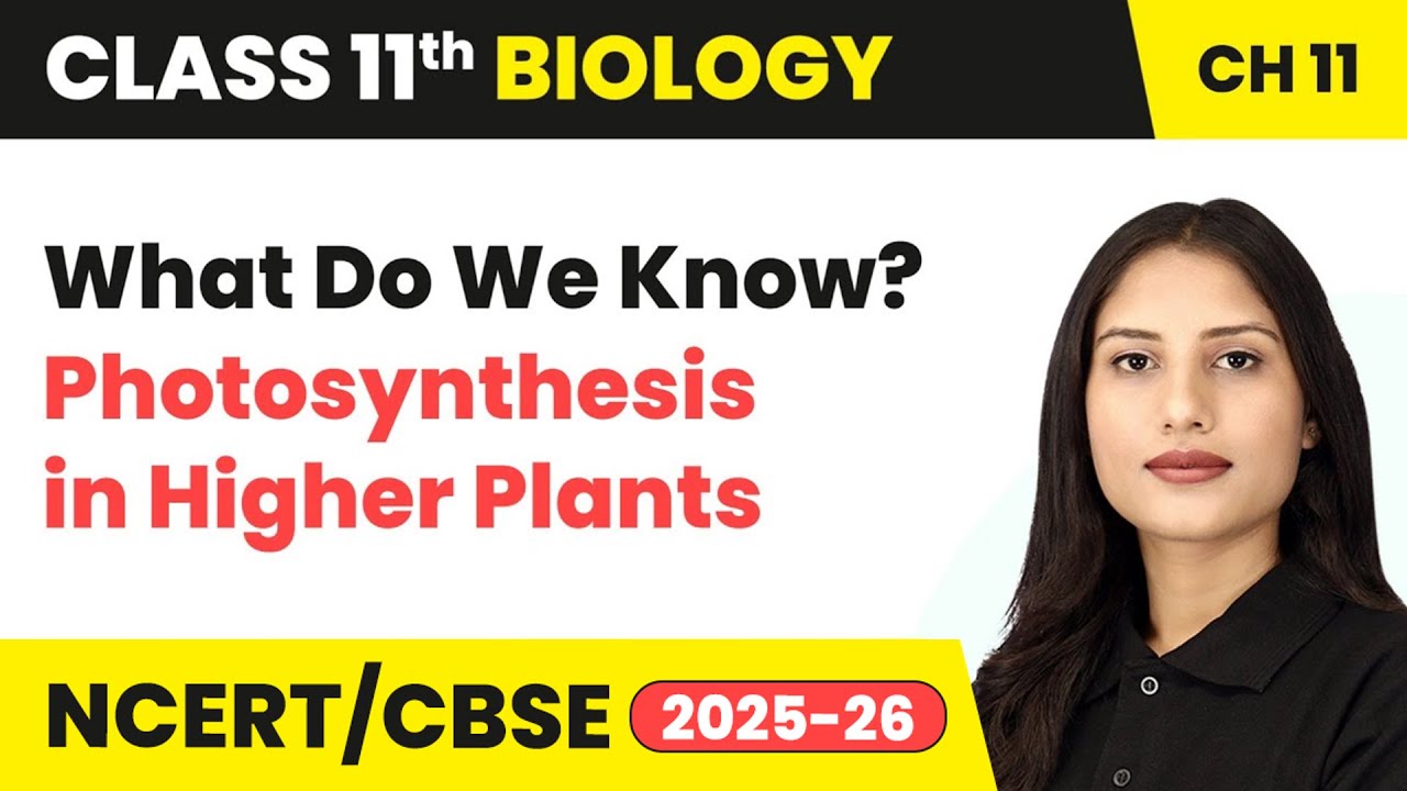 What Do We Know? - Photosynthesis in Higher Plants | Class 11 Biology Chapter 11 | CBSE 2024-25