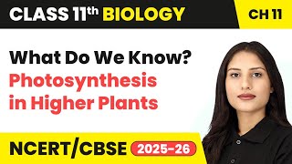 What Do We Know? - Photosynthesis in Higher Plants | Class 11 Biology Chapter 11 | CBSE 2024-25