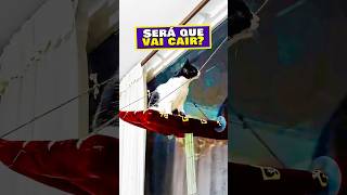 Gatos nem Sempre SÃO INTELIGENTES! 🐈