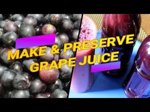 download lagu mp3 mp4 How To Preserve Fresh Grape Juice, download lagu How To Preserve Fresh Grape Juice gratis, unduh video klip How To Preserve Fresh Grape Juice