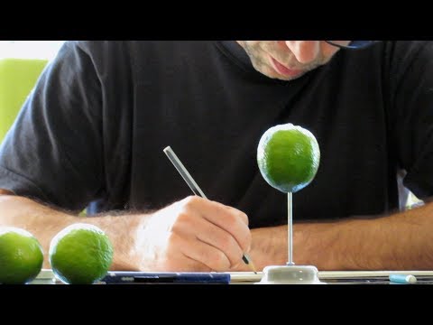 Видеообзор