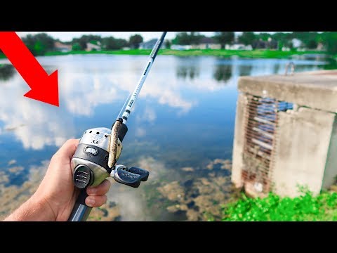 Fishing w/ ZEBCO 33 for GIANT Bass Video