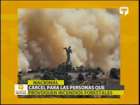 Cárcel para las personas que provoquen incendios forestales