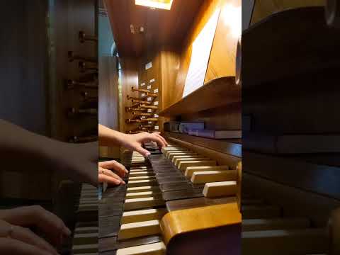 O Gott, du frommer Gott EG 495 (1. Melodie) #shorts