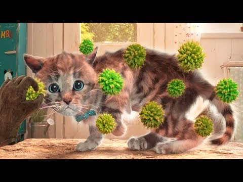 Lindo Gatito Aventuras - Dibujos Animados Infantiles - Episodio 7