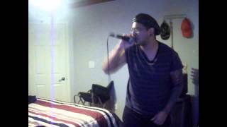 The Color Morale - Silver Lining - Vocal Cover