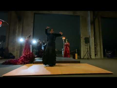 Carola Zertuche Seguiriyas