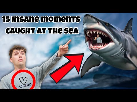 The most 15 INSANE moments caught on Camera at sea