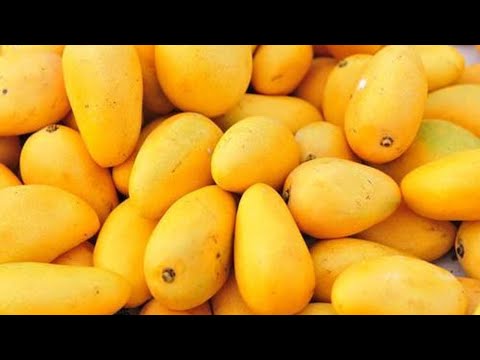 Ataulfo Mangoes